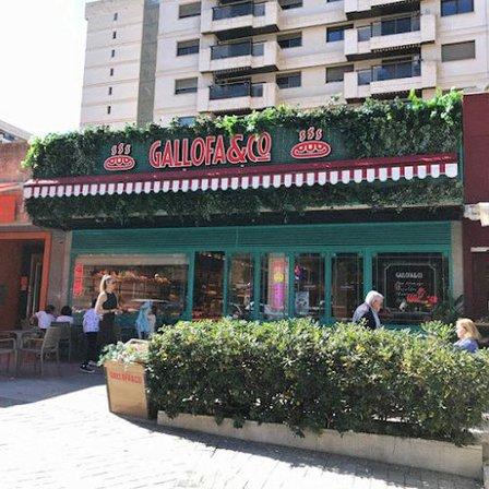 Panadería Gallofa&Co