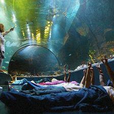 Atlantis Aquarium Madrid