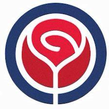 The Rose Language School-Academia de inglés, alemán y japonés Getafe y online