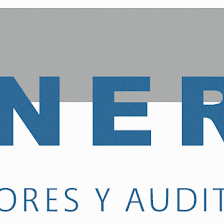 NER Asesores y Auditores
