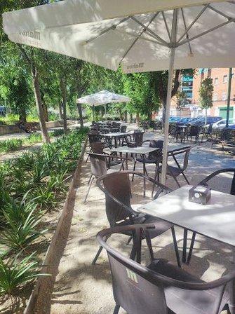 Bar Mota