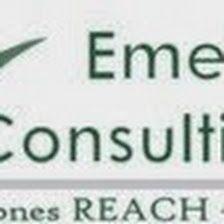 Emeba Consulting