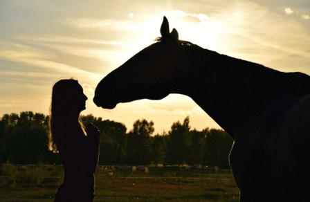 NaturalMente Coaching con Caballos