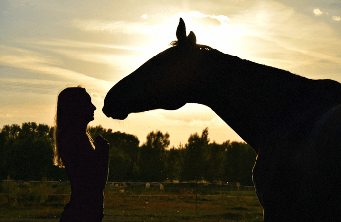 NaturalMente Coaching con Caballos
