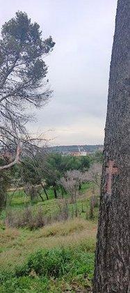 universidad complutense