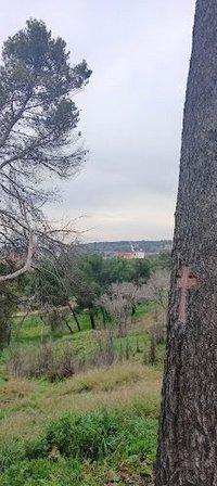 universidad complutense