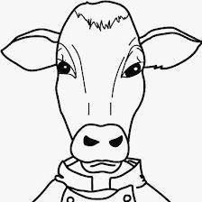 Vaca y más