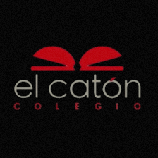 The Caton College