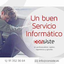 Information Technology SL is