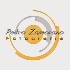 Pedro Zamorano Photographer