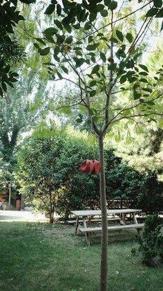 School of Design in Madrid