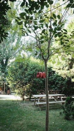 School of Design in Madrid