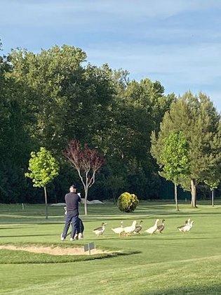 Club de Golf Aranjuez