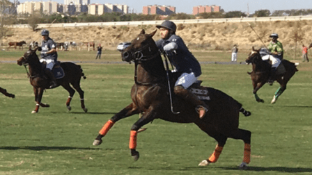 Mariachis Polo Club