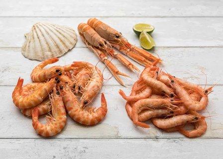Omaro Seafood Bar