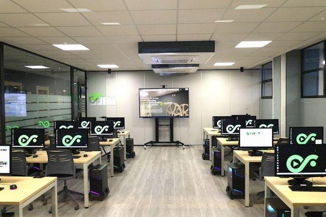 Ondas Formación
