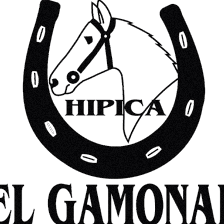 Hipica El Gamonal