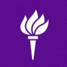 New York University