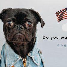 Englishmania - When one teaches, two learn.