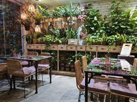 Secret Rooftop Garden