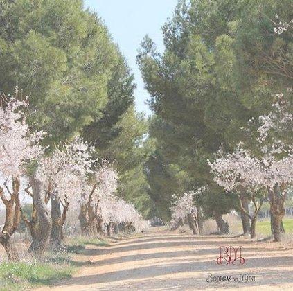 Finca El Muni