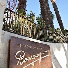 Centro de Jardinería Bourguignon