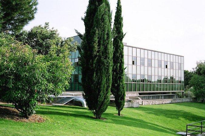 Universidad Politécnica de Madrid