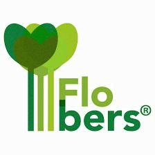 Flobers | Reinventando la inversión en energías renovables