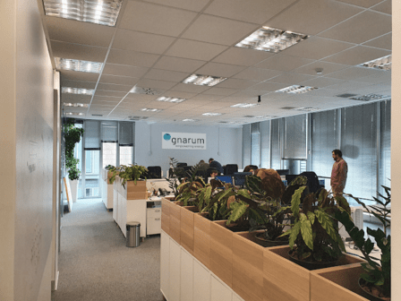 Gnarum Tecnología y Energía