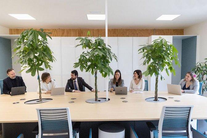 Flobers | Reinventando la inversión en energías renovables