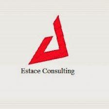 Estace Consulting
