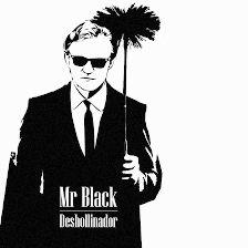 Mr Black Deshollinador