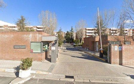 Bosques y Caza