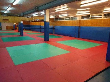Danjeong Dojang. Escuela de Taekwondo, Hapkido, Defensa Personal Femenina, Boxeo y Pole Dance