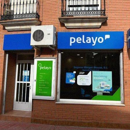 Oficina Seguros Pelayo