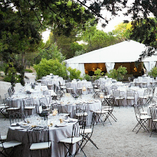 Finca Villa Solita