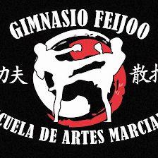 Gimnasio Feijoo
