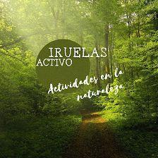 Iruelas activo (Reserva Natural del Valle de Iruelas-Ávila)
