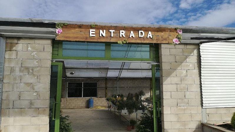 Plantas Tere Vivero