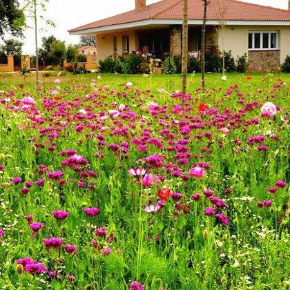 Jardinería Ecológica Maderas Vivas