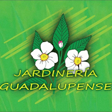 Jardineria Guadalupense SL