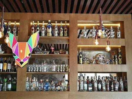 Chihuahua Tacos y Tragos La Moraleja