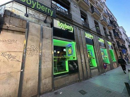 Boyberry Madrid