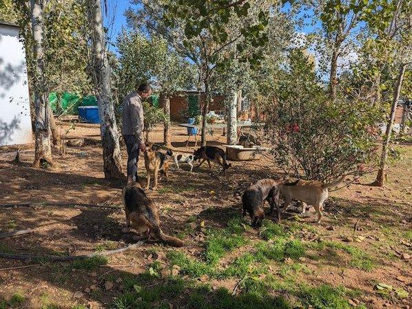 Residencia Canina Sarbecan