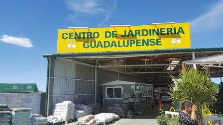 Jardineria Guadalupense SL