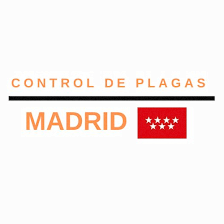 Control de Plagas Madrid | Eliminación de Chinches