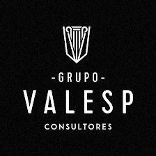 Grupo Valesp Consultores
