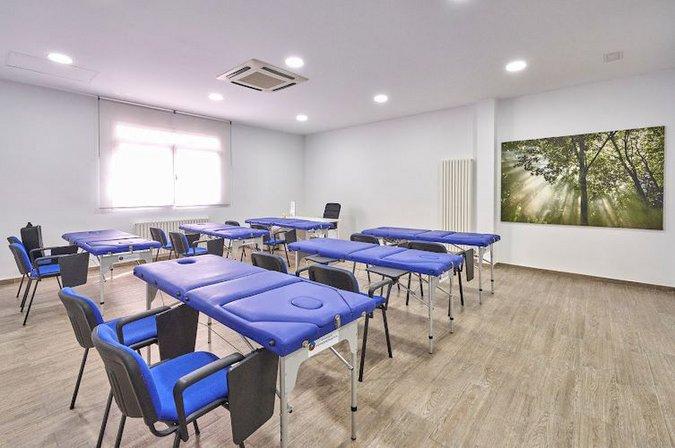 Escuela Oficial de Kinesiología Holística