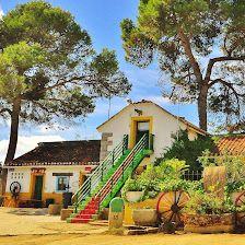 Farm School El Palomar