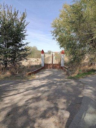 Residencia Canina del Camino